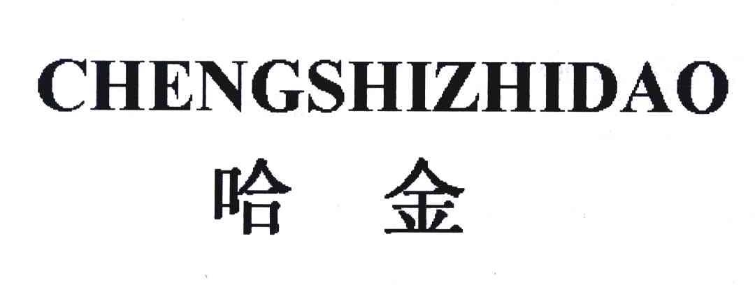 哈金 CHENGSHIZHIDAO