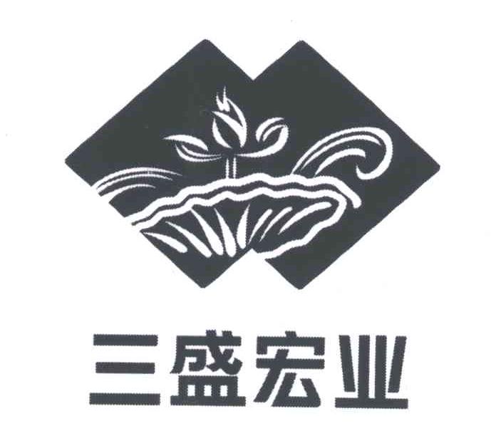 三盛宏业
