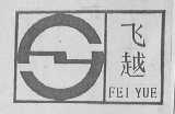 飞跃