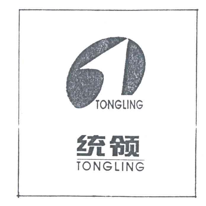 统领;TONG LING