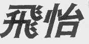 飞怡