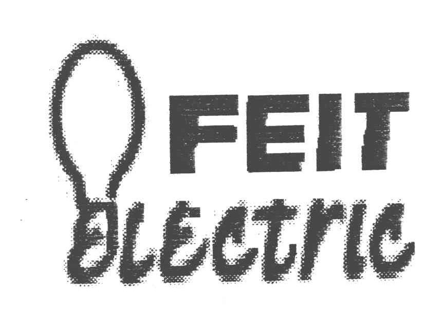 FEIT ELECTRIC