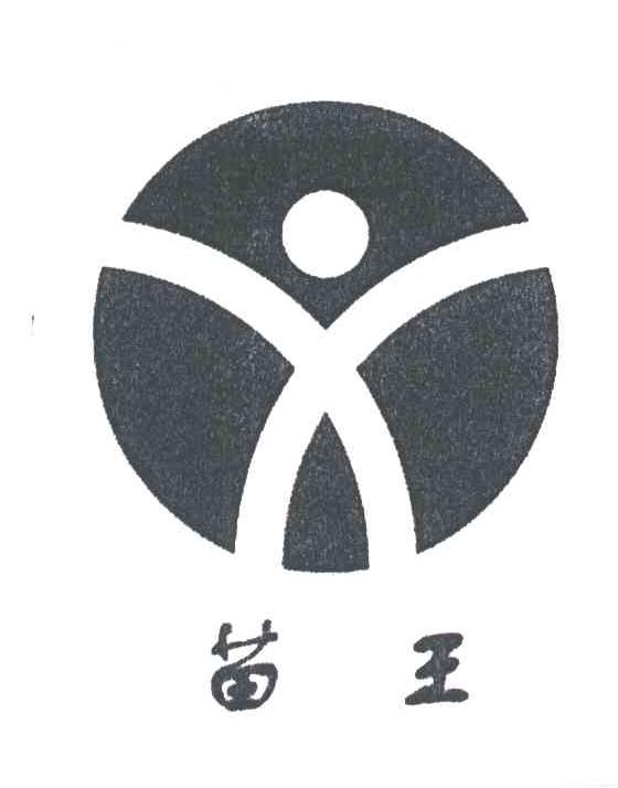 苗王