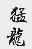 猛龙