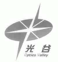 光谷;OPTICS VALLEY