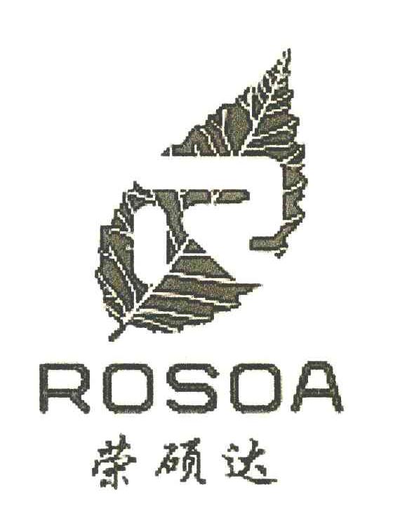 荣硕达 ROSOA R