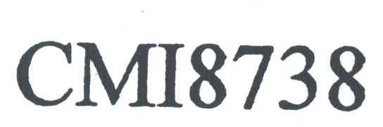 CMI8738