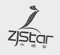 中极星   ZJSTAR