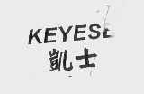 凯士   KEYESE