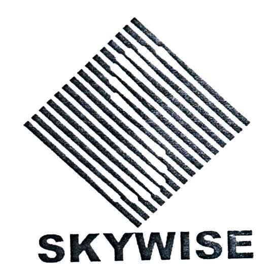 SKYWISE