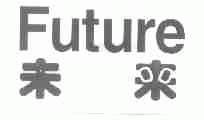 未来;FUTURE