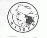 BIGBUG
