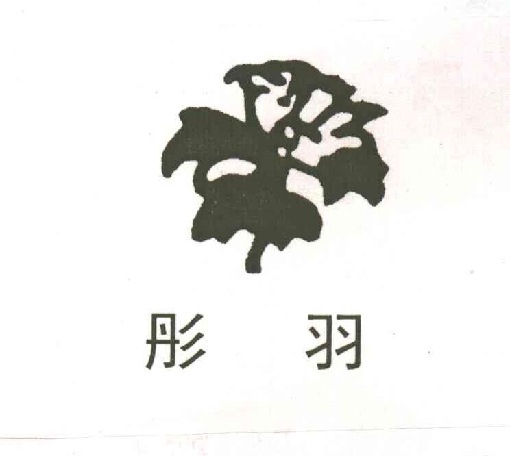 彤羽