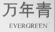 万年青    EVERGREEN