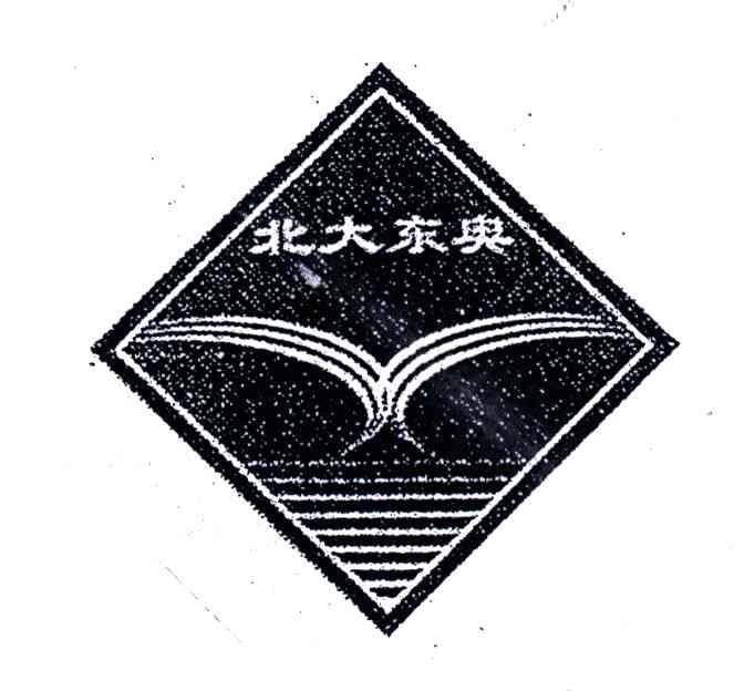 北大东兴