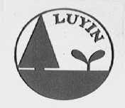 LUYIN