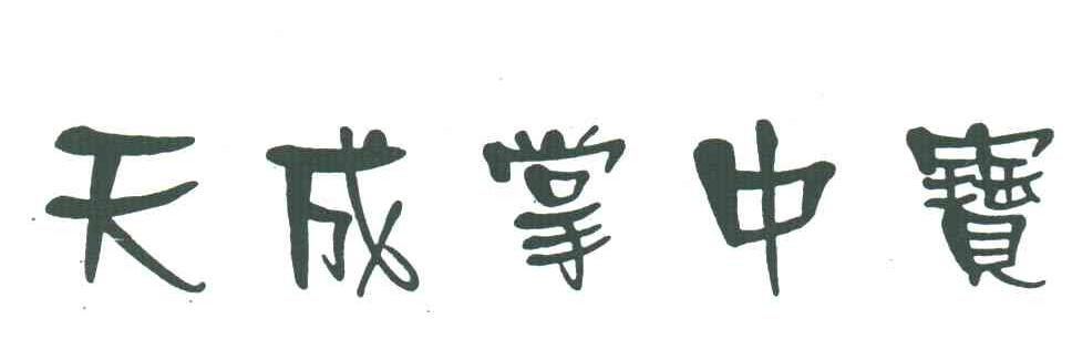 天成掌中宝