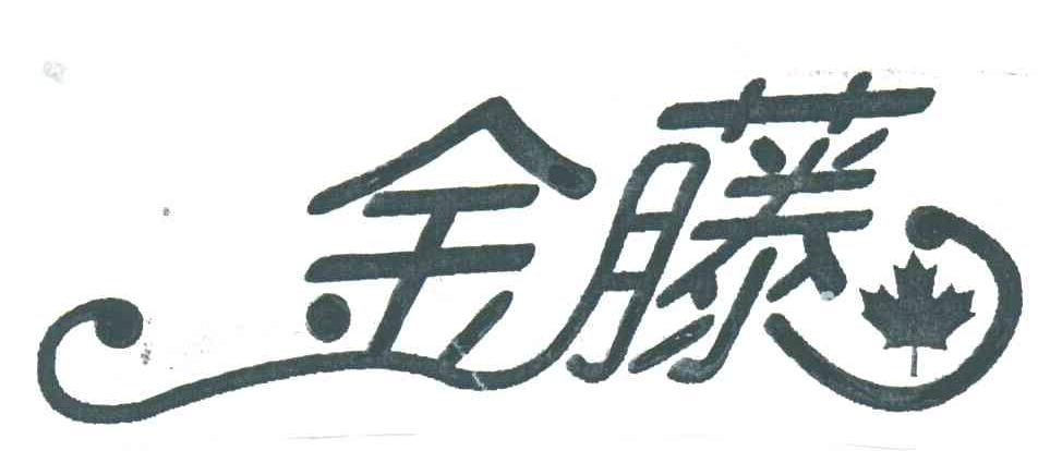 金藤
