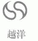 越洋