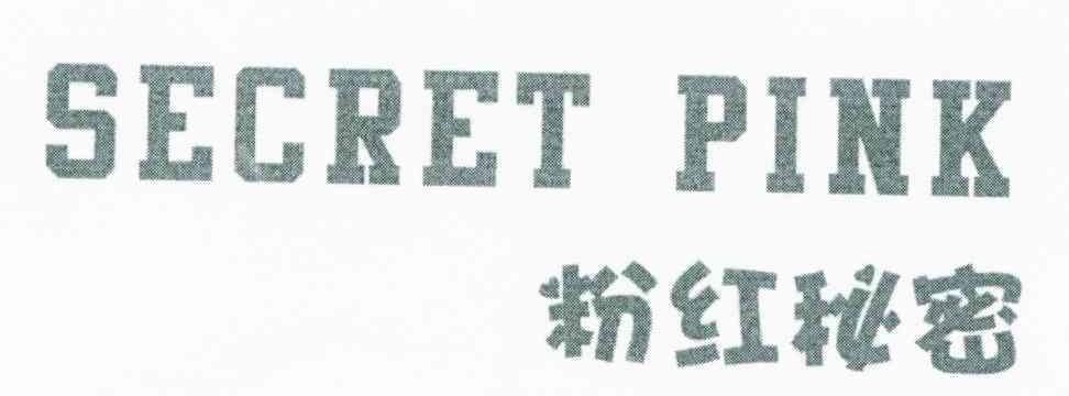 粉红秘密 SECRET PINK