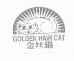 金丝猫;GOLDEN HAIR CAT
