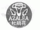 杜鹃花;AZALEA