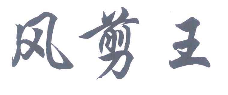 风剪王