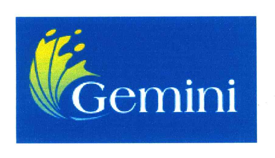 GEMINI