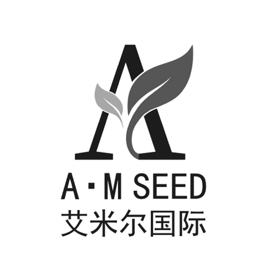 艾米尔国际 A&middot;M SEED
