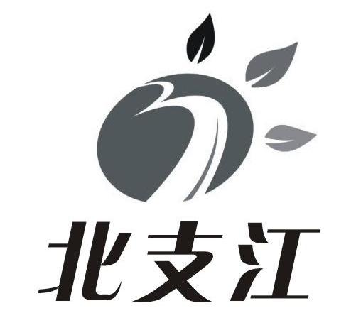 北支江