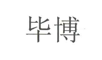 毕博