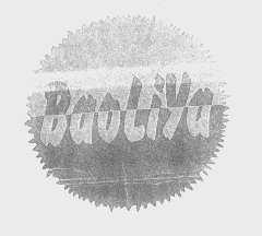 BAOLIYA