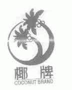 椰;COCONUT