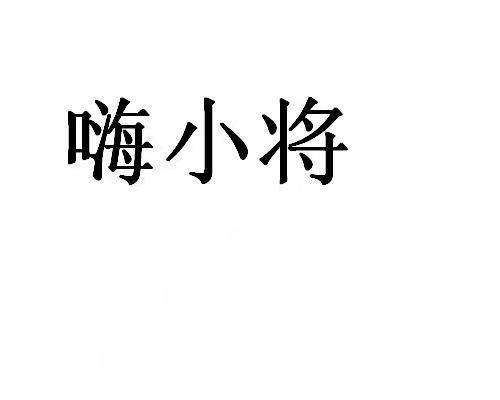 嗨小将