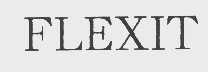 FLEXIT