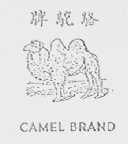 骆驼    CAMEL