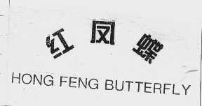 红凤蝶   HONG FENG BUTTERFLY