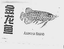 金龙鱼  ARAWANA
