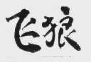 飞狼