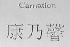 CARNATION    康乃馨