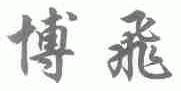 博飞