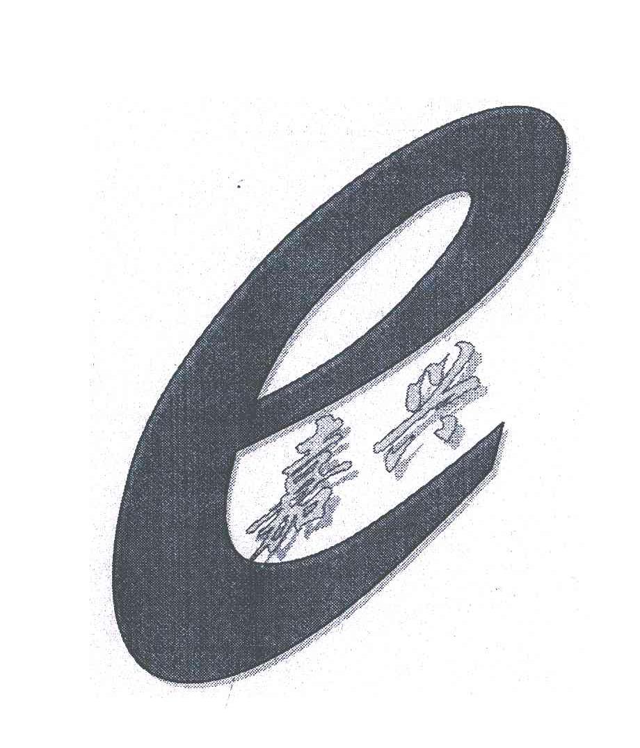 嘉兴;E