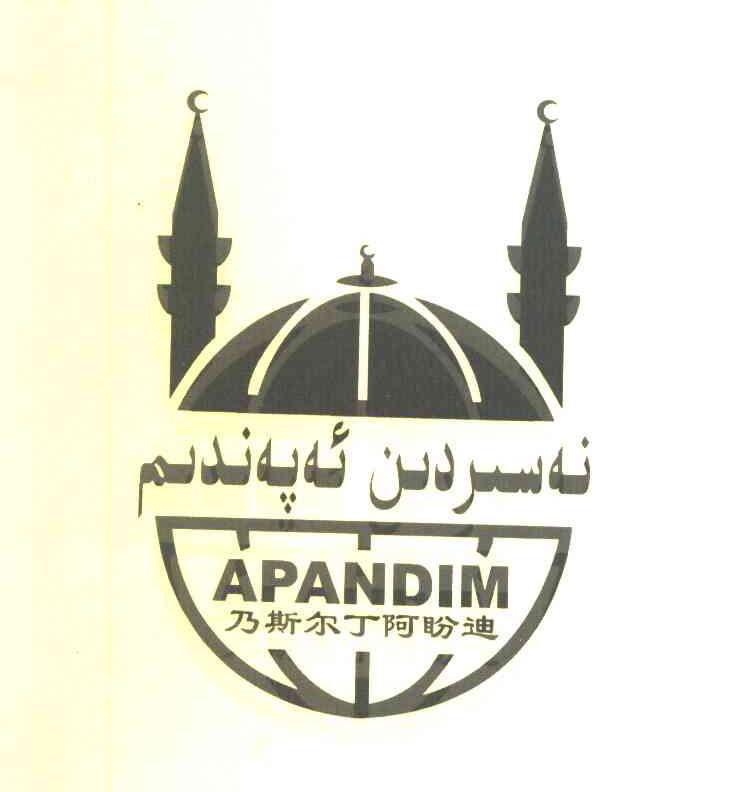 乃斯尔丁阿盼迪 APANDIM