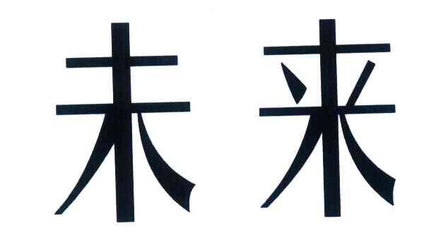 未来