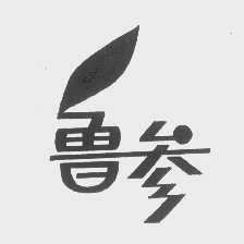 鲁参