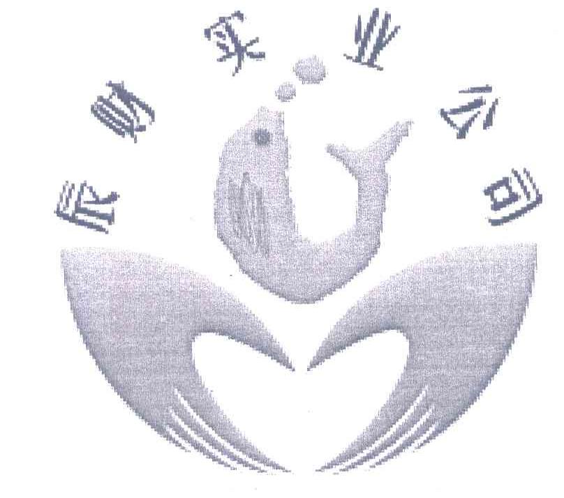 辰财实业公司