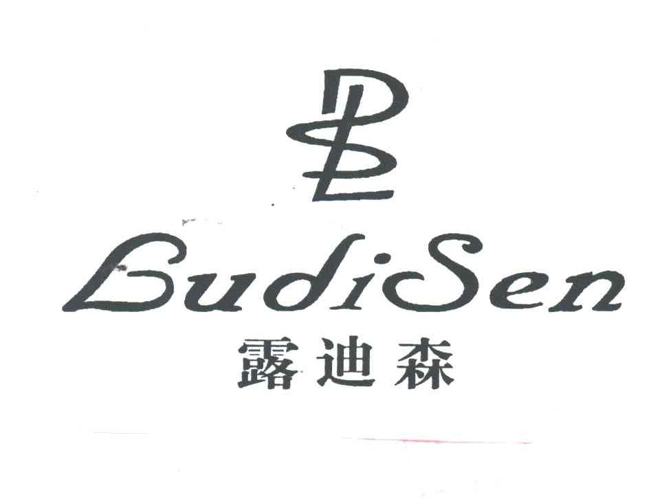 露迪森