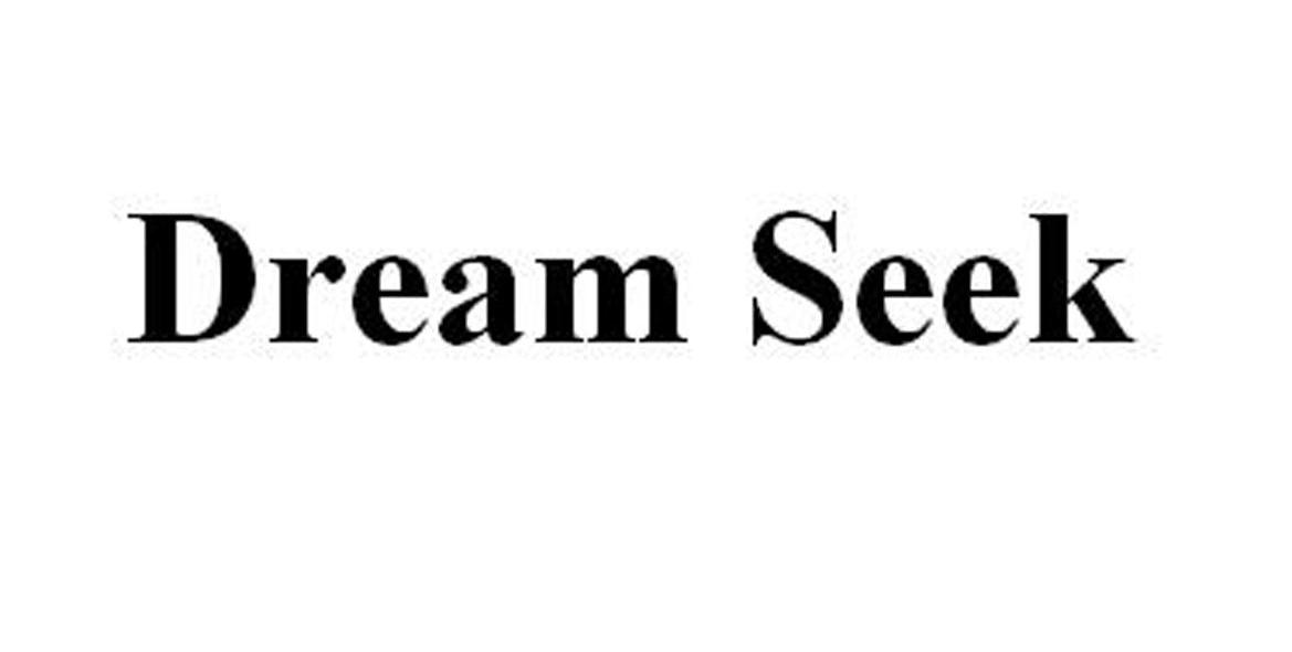 DREAM SEEK