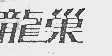 龙巢