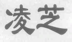 凌芝